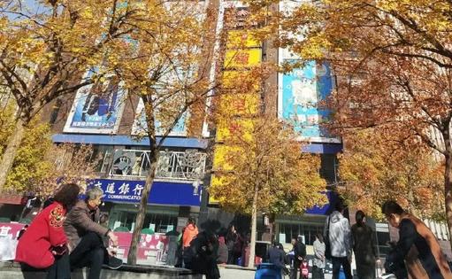 太原服裝城老年活動(dòng)中心秋色宜人，放眼望去一片金黃 新聞資訊 第2張